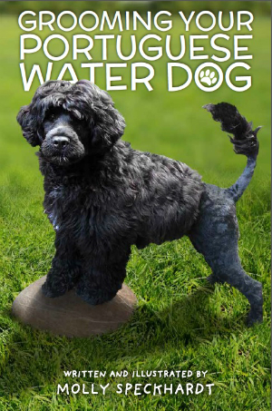 Portuguese Water Dog Water Training Equipment Portuguese Water Dog Water Training Equipment